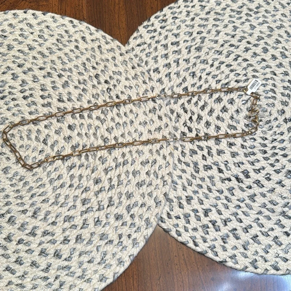Gold paper clip chain sunglass/glass holder